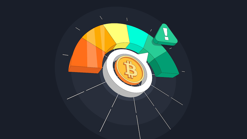 Crypto Market Movements