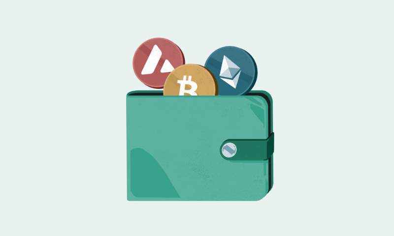 Choosing a Reputable Crypto Wallet: A Beginner's Secure Start