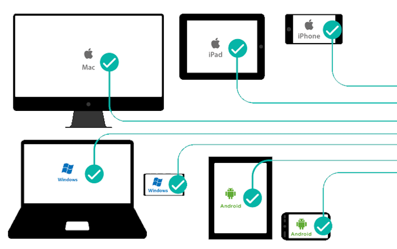 Cross-Platform Compatibility and Wallet Synchronization