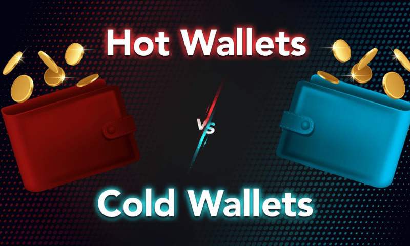 Hot Wallets vs. Cold Wallets: A Beginner’s Essential Guide to Crypto Storage